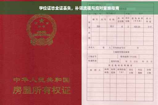学位证毕业证丢失，补领流程与应对策略指南
