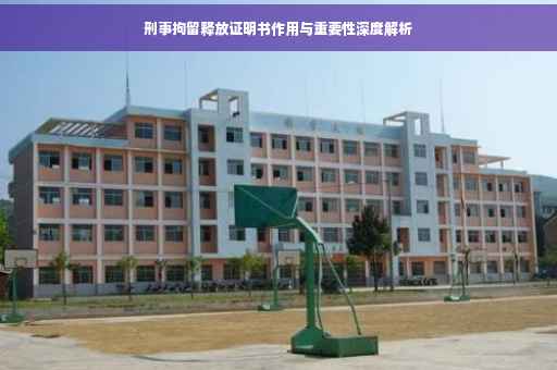 刑事拘留释放证明书作用与重要性深度解析