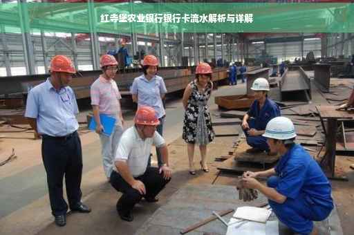 红寺堡农业银行银行卡流水解析与详解