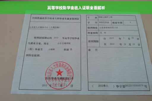 高等学校助学金收入证明全面解析