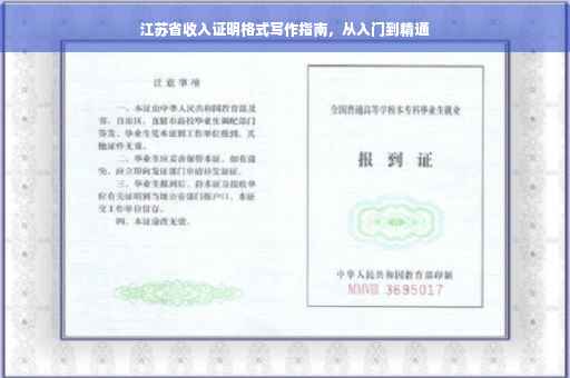 江苏省收入证明格式写作指南，从入门到精通