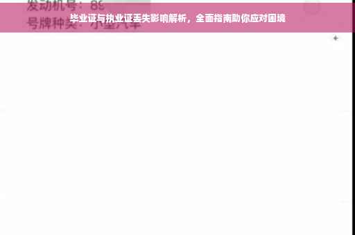 毕业证与执业证丢失影响解析，全面指南助你应对困境