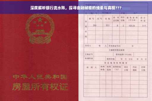 深度解析银行流水账，探寻金融秘密的线索与真相???