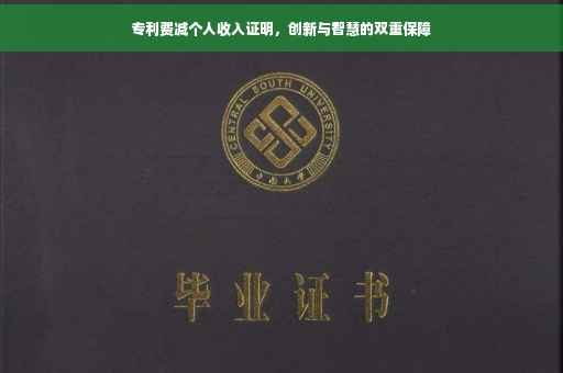 专利费减个人收入证明，创新与智慧的双重保障