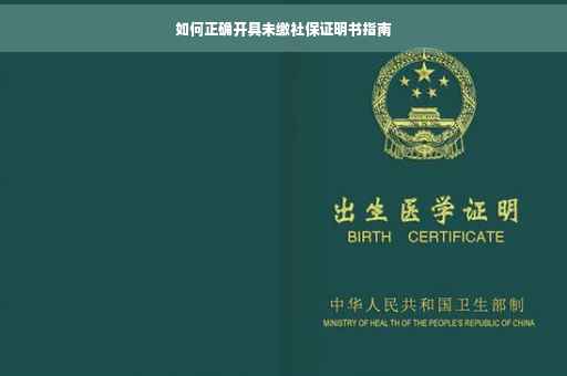 如何正确开具未缴社保证明书指南