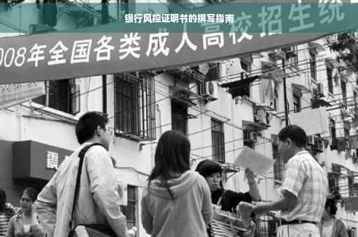 银行风控证明书的撰写指南