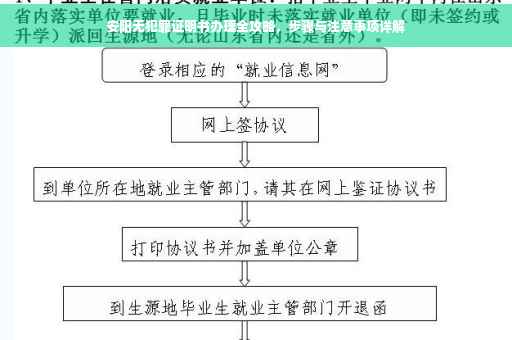 安阳无犯罪证明书办理全攻略，步骤与注意事项详解