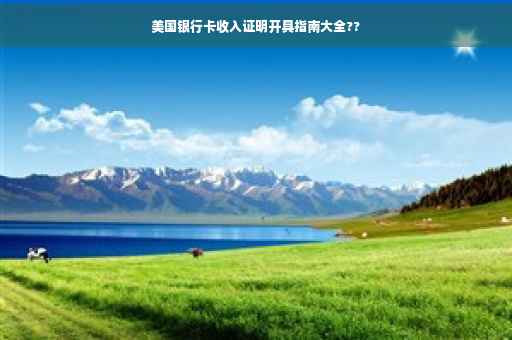 美国银行卡收入证明开具指南大全??