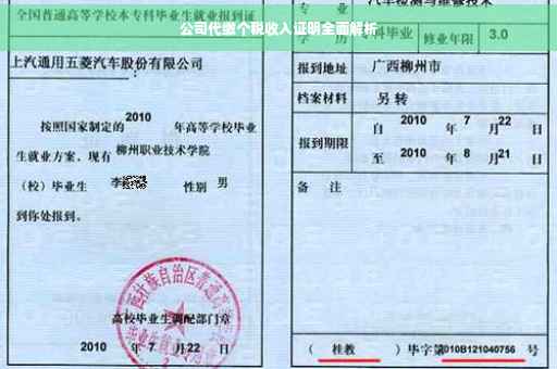 公司代缴个税收入证明全面解析