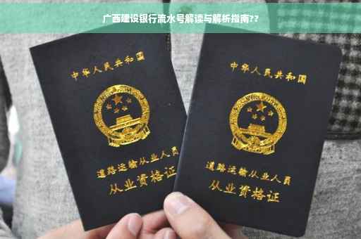 广西建设银行流水号解读与解析指南??