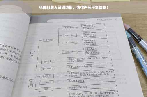 抚养权收入证明造假，法律严惩不容侵犯！