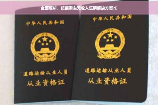 全面解析，按揭购车无收入证明解决方案?✨