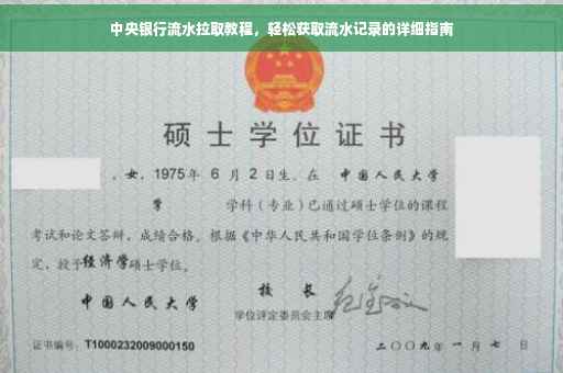 中央银行流水拉取教程，轻松获取流水记录的详细指南