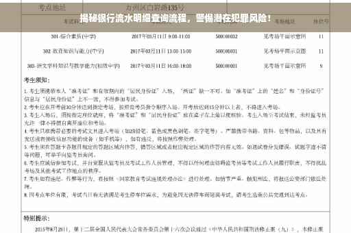揭秘银行流水明细查询流程，警惕潜在犯罪风险！