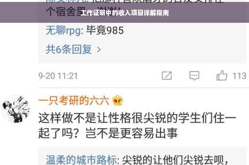 工作证明中的收入项目详解指南