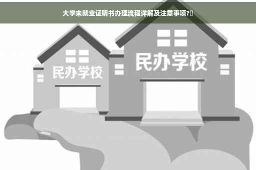 大学未就业证明书办理流程详解及注意事项?✨
