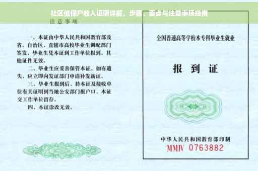 社区低保户收入证明详解，步骤、要点与注意事项指南