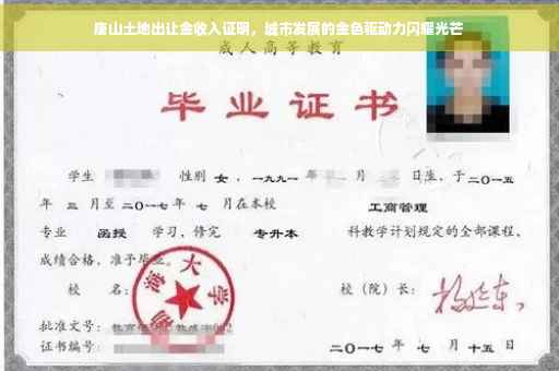 唐山土地出让金收入证明，城市发展的金色驱动力闪耀光芒
