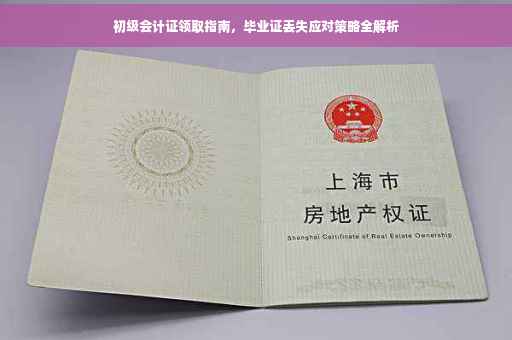 初级会计证领取指南，毕业证丢失应对策略全解析