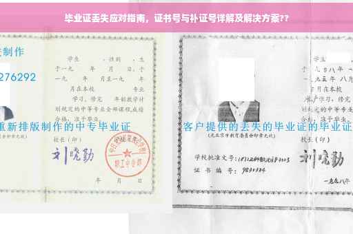 毕业证丢失应对指南，证书号与补证号详解及解决方案??