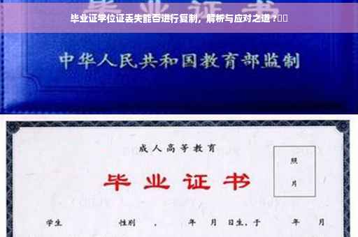 毕业证学位证丢失能否进行复制，解析与应对之道 ?⚡️