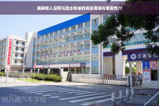 揭秘收入证明与流水账单的真实用途与重要性??