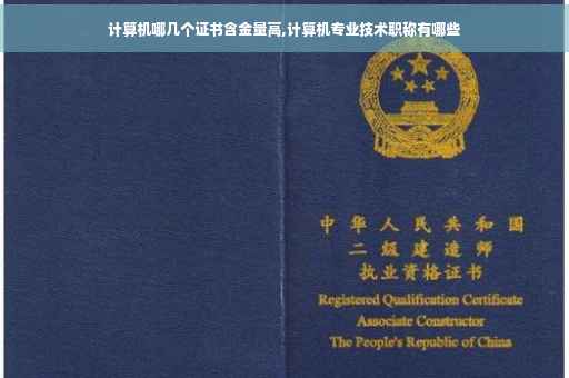 计算机哪几个证书含金量高,计算机专业技术职称有哪些