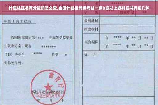计算机证书有分数吗怎么查,全国计算机等级考试一级b或以上级别证书有哪几种