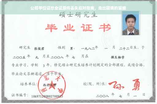 公招学位证毕业证原件丢失应对指南，走出困境的策略