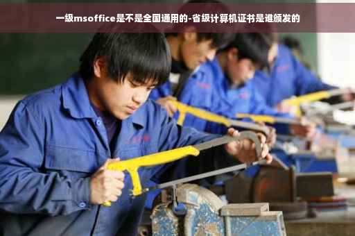 一级msoffice是不是全国通用的-省级计算机证书是谁颁发的