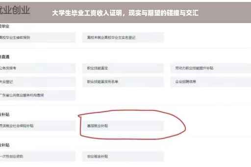 大学生毕业工资收入证明，现实与期望的碰撞与交汇