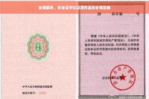 全面解析，毕业证学位证原件丢失补领攻略