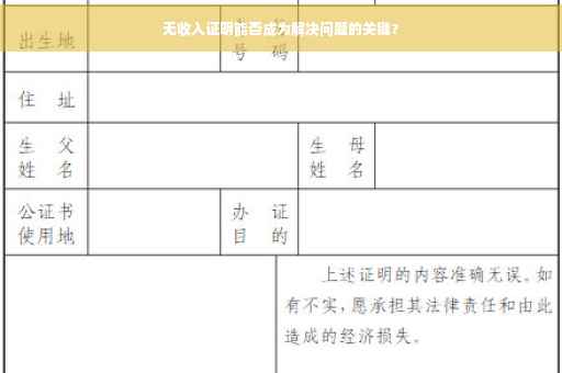 无收入证明能否成为解决问题的关键？