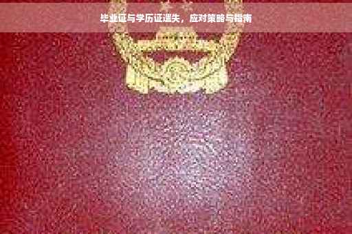 毕业证与学历证遗失，应对策略与指南