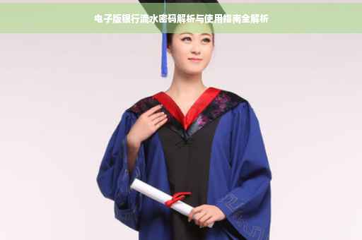 电子版银行流水密码解析与使用指南全解析