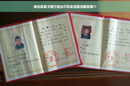 单位结算卡银行流水打印全流程详解指南??