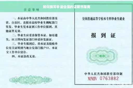 如何撰写申请低保的证明书指南
