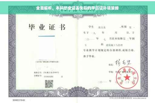 全面解析，本科毕业证丢失后的学历证补领策略