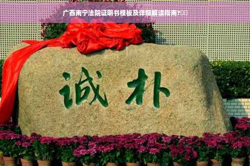 广西南宁法院证明书模板及详细解读指南?⚡️