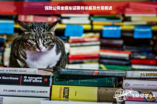 保险公司全损车证明书详解及作用概述