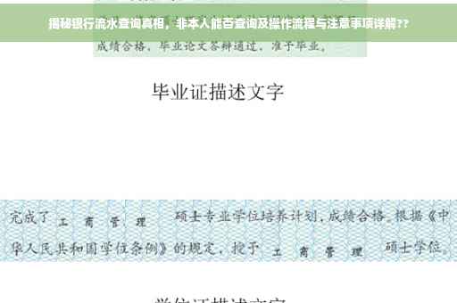 揭秘银行流水查询真相，非本人能否查询及操作流程与注意事项详解??