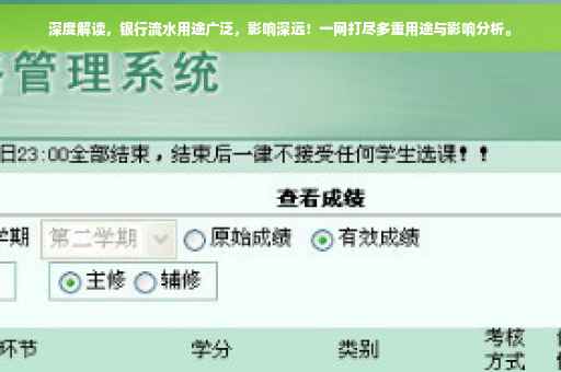 深度解读，银行流水用途广泛，影响深远！一网打尽多重用途与影响分析。