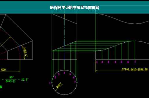 医保局学证明书撰写指南详解