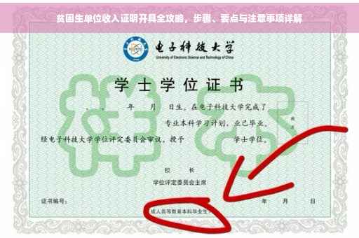 贫困生单位收入证明开具全攻略，步骤、要点与注意事项详解
