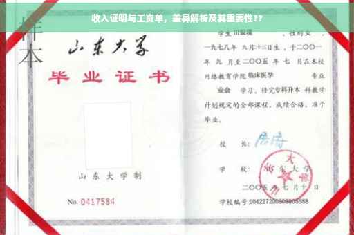 收入证明与工资单，差异解析及其重要性??