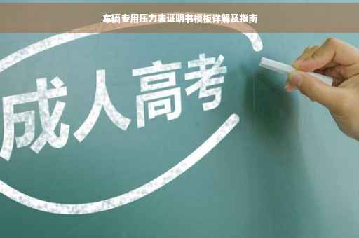 车辆专用压力表证明书模板详解及指南