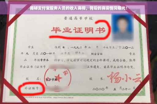 揭秘支付宝服务人员的收入真相，背后的真实情况曝光！