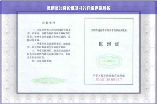 撤销临时身份证明书的详细步骤解析