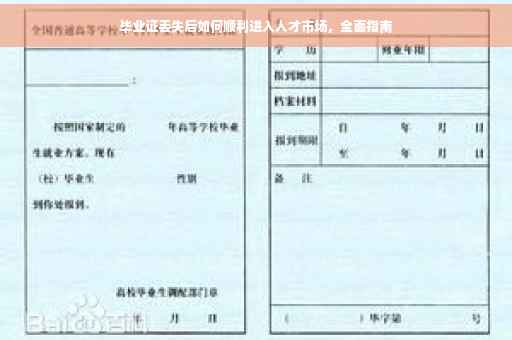 毕业证丢失后如何顺利进入人才市场，全面指南