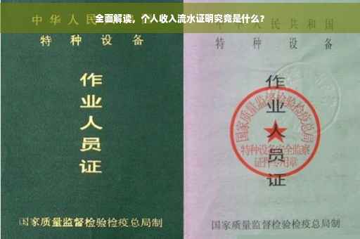 全面解读，个人收入流水证明究竟是什么？